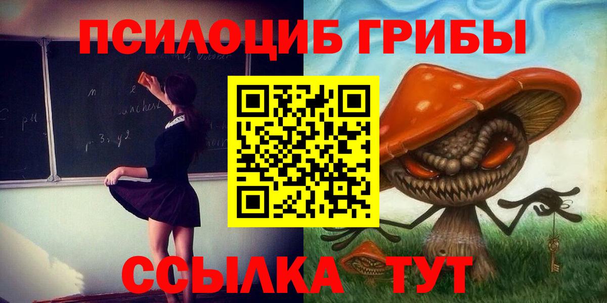 Солнечногорск  Псилоцибиновые грибы MAGIC MUSHROOMS  Вход с VPN 